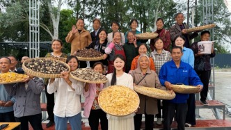 奔赴“县”场｜流量变乡情，小城有了自己的麦克风