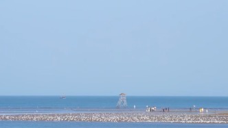 说不尽，无穷好——秦皇秋dao | 北戴河鸽子窝大潮坪候鸟云集，沉浸式感受湿地秋日魅力