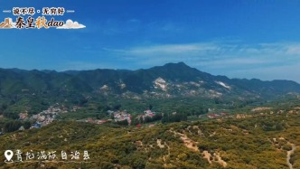 说不尽，无穷好——秦皇秋dao | 他乡万千风景，不及故乡栗满山坡