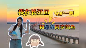 我在长江口，守护一条和恐龙同岁的鱼