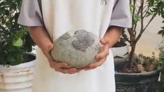 河源12岁少年花盆里发现恐龙蛋化石，同村30年前曾有先例