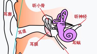 耳朵一圈为啥总有黄色油垢，刮一下能有满满一指甲？