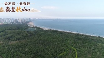 说不尽，无穷好——秦皇秋dao | 秦皇岛海滨国家森林公园，林间栈道深入林海