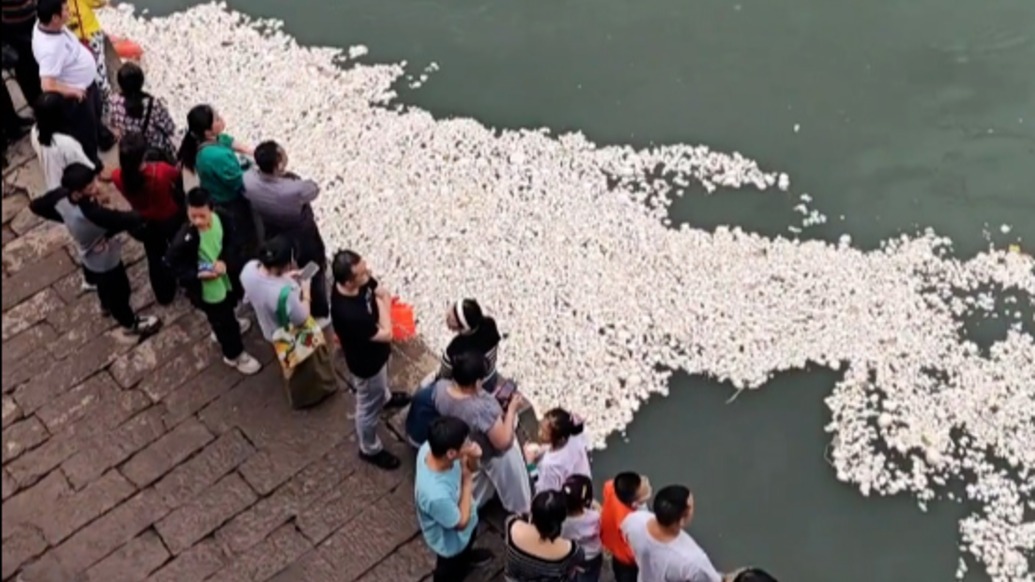 四川宜宾合江门江面漂浮大量游客喂鱼的馒头，街道办：已清理干净
