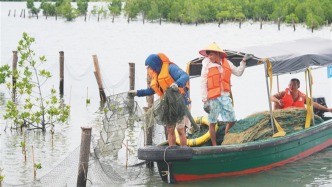 海南：联合工作组实地督导红树林保护区赶海违法行为整改整治工作