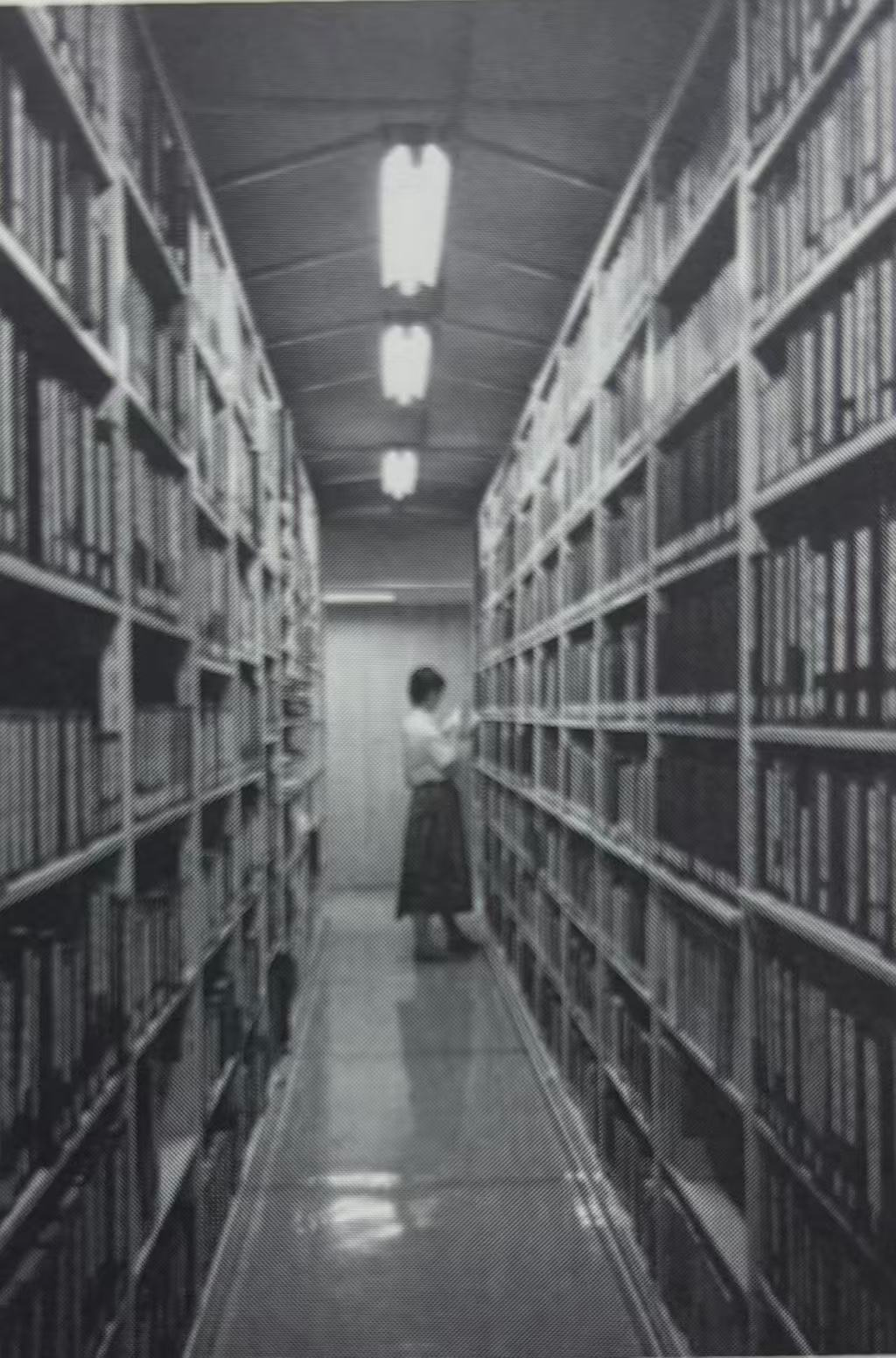 鲁迅逝世90周年|1931年的上海游学:增田涉与鲁迅、中国现代文学的相遇