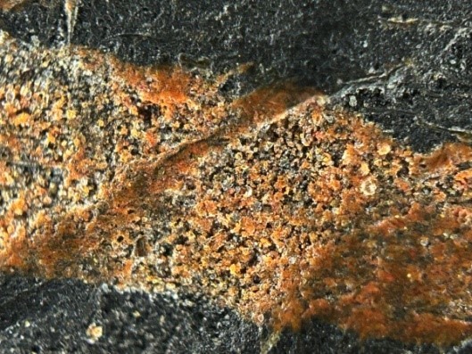鉴赏｜明代憨山德清的泥金写经