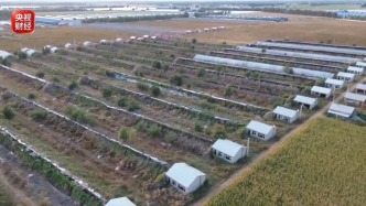 空壳公司成立9天后承接通辽智慧农业项目：投资1.2亿仅建5个棚