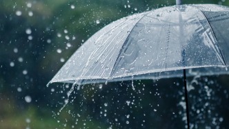夜读丨别让一场雨从车上淋到心里