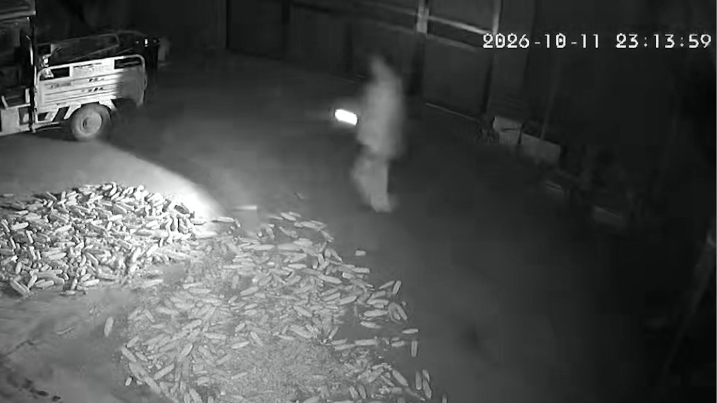 男子深夜听到隔壁传来呻吟声,翻墙救助摔伤独居老人