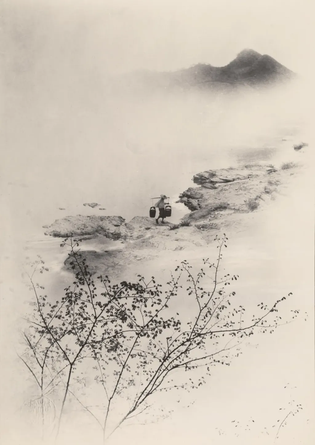 看展览|郎静山、骆伯年入展,泰特新展以全球视野看待画意摄影