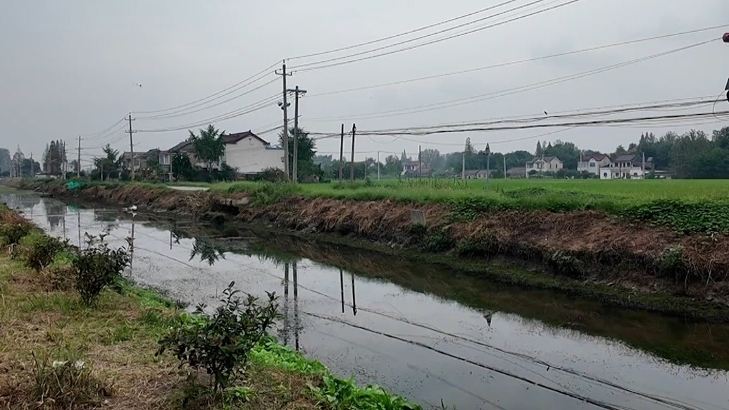 村干部成立公司2年中标本村14个工程？扬州市朴席镇：将了解清楚情况后回复