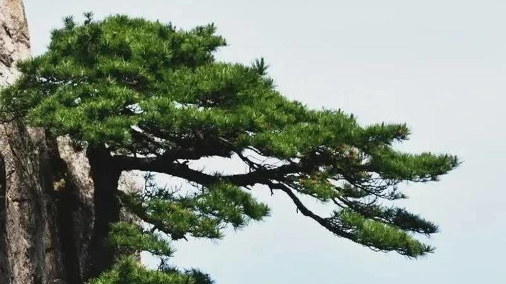 北京大学物理学院理论物理研究所卢大海教授逝世