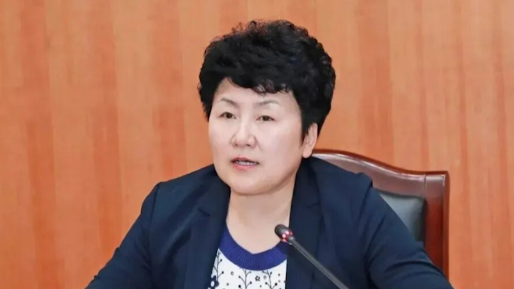 违规决策造成重大金融风险,四川省成都市人大常委会原党组书记、主任包惠被开除党籍