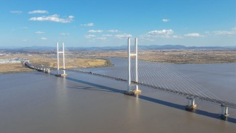 李强在中朝新鸭绿江大桥开通仪式上发表视频致辞