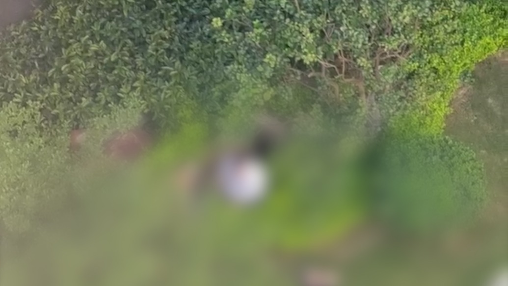 34岁女业主在小区草坪坠井身亡,广州增城区成立专班调查