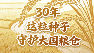 30年，这粒种子守护大国粮仓