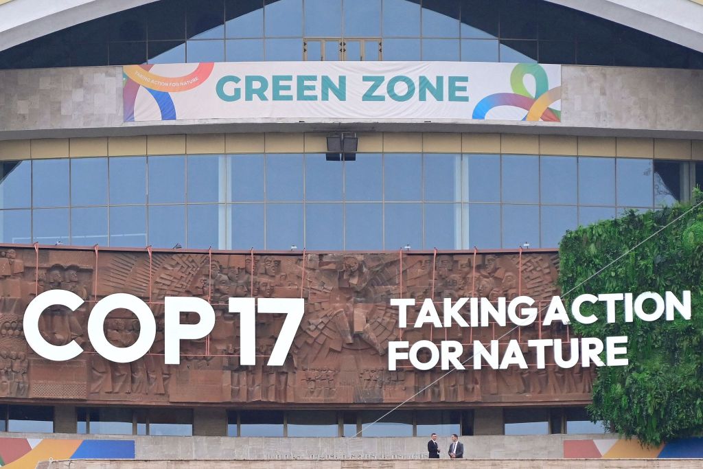 地球观察|“昆蒙框架”履约滞后,COP17如何“开药方”