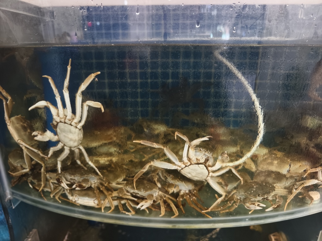 观察|全国大闸蟹产地争相打造IP,靠什么吸引消费者?
