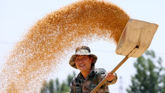 国家统计局:全年粮食有望再获丰收