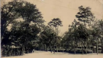 打开上海的方式，在网红街区回望愚园路160年