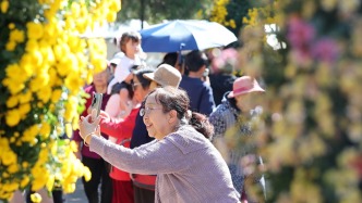 重阳银发族接棒、乌镇戏剧节与上海国际艺术节开幕，戏台走进街巷｜一周文旅扫描