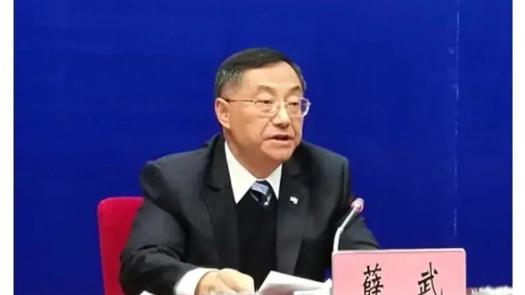 中国南方电网有限责任公司专家委员会原专职委员薛武被查