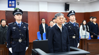 十四届全国政协教科卫体委员会原副主任杨小伟一审被判十二年