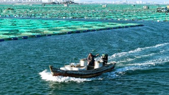 2025年我国海洋生产总值突破11万亿元