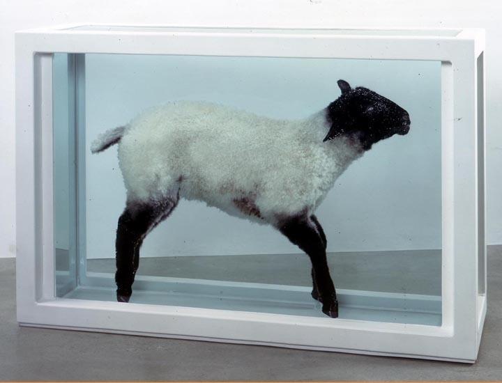 饱受争议但价格很高,达明安·赫斯特12月上海办大展