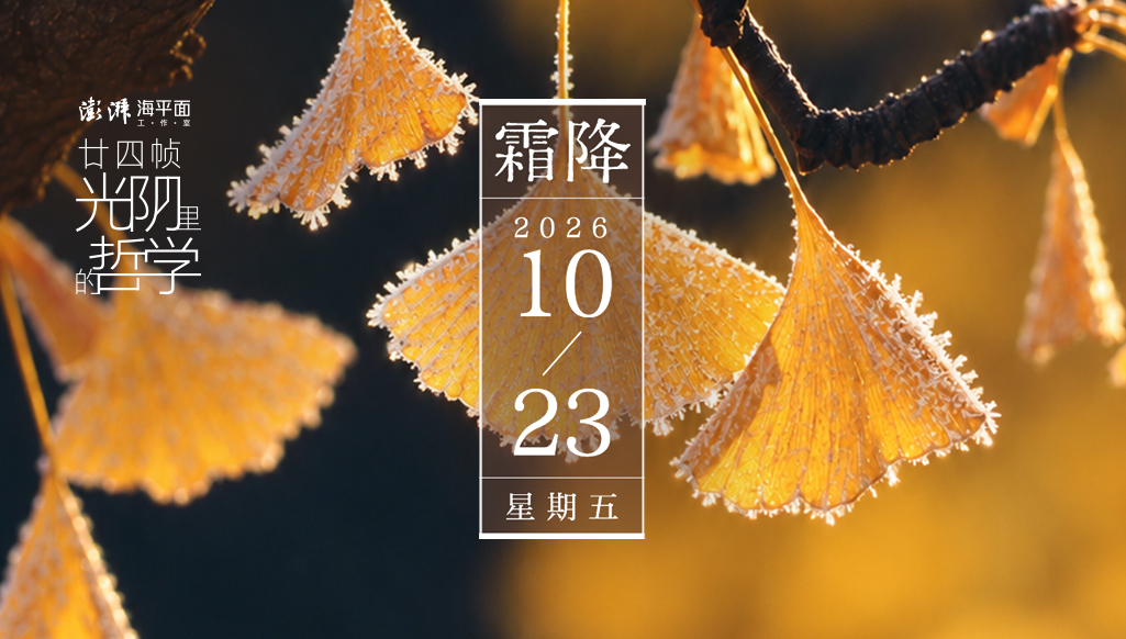 廿四帧光阴里的哲学｜霜降