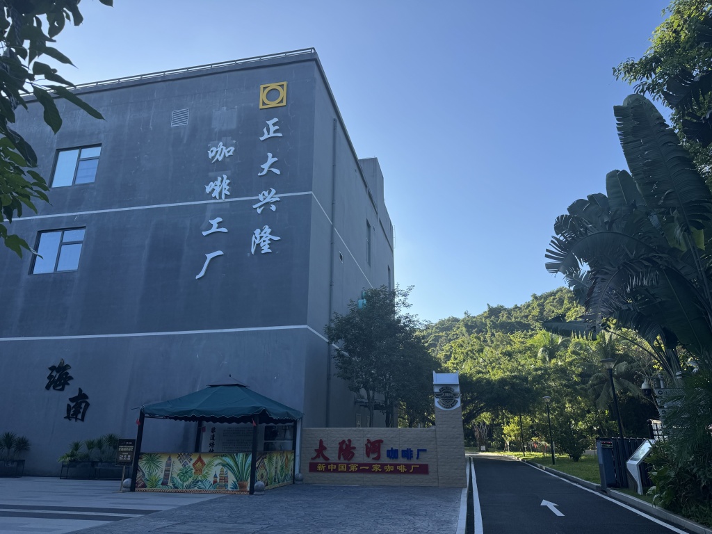 活力中国调研行|归侨种下的咖啡树,在自贸港结出了“新果实”