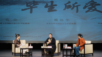 戴锦华X滕威X毛尖：希望电影将人们从自己的小屋里召唤出来