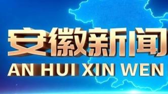 李乐成当选安徽省委书记，王东伟、单向前当选省委副书记
