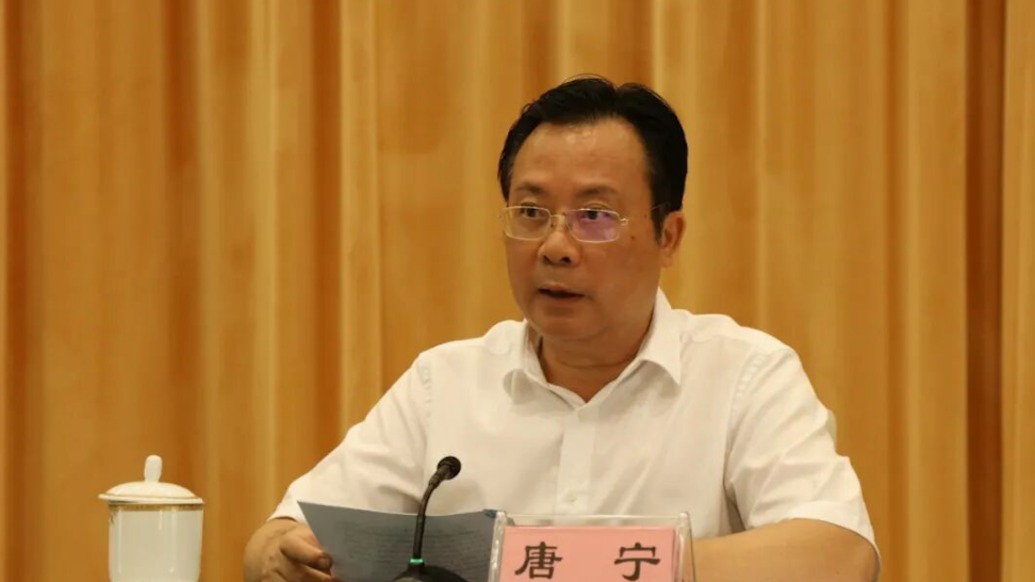 私欲膨胀、毫无纪法底线，广西壮族自治区人民政府原副秘书长唐宁被开除党籍
