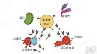 发病快、易重症！这个儿科病“重男轻女”！一粒蚕豆就让娃进ICU