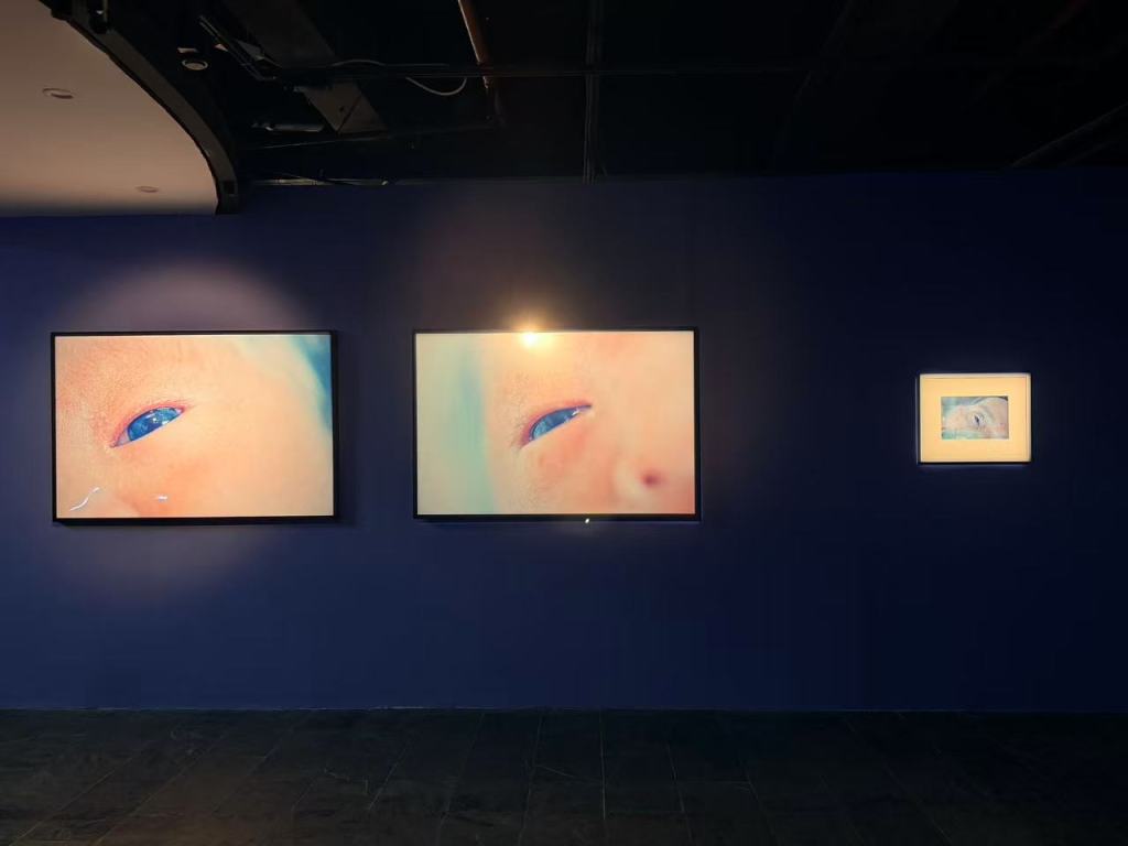 在美术馆的作品中面对生命与死亡