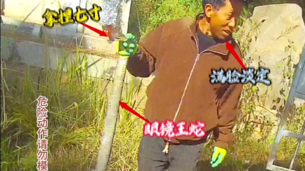 大爷一把抓住两米长的眼镜王蛇,民警紧急安全教育“下次不能抓了,小心被咬”