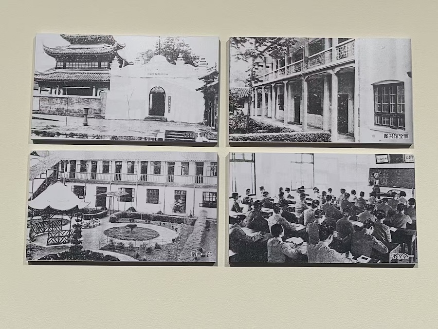 现场|“近代章草第一人”王蘧常,近百真迹复旦展出