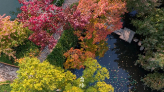 今日霜降｜霜落姑苏，秋尽江南
