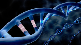 先导编辑首次在人体内“改写”DNA