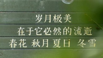 此刻姑苏｜心田里书店，读懂时光的浪漫