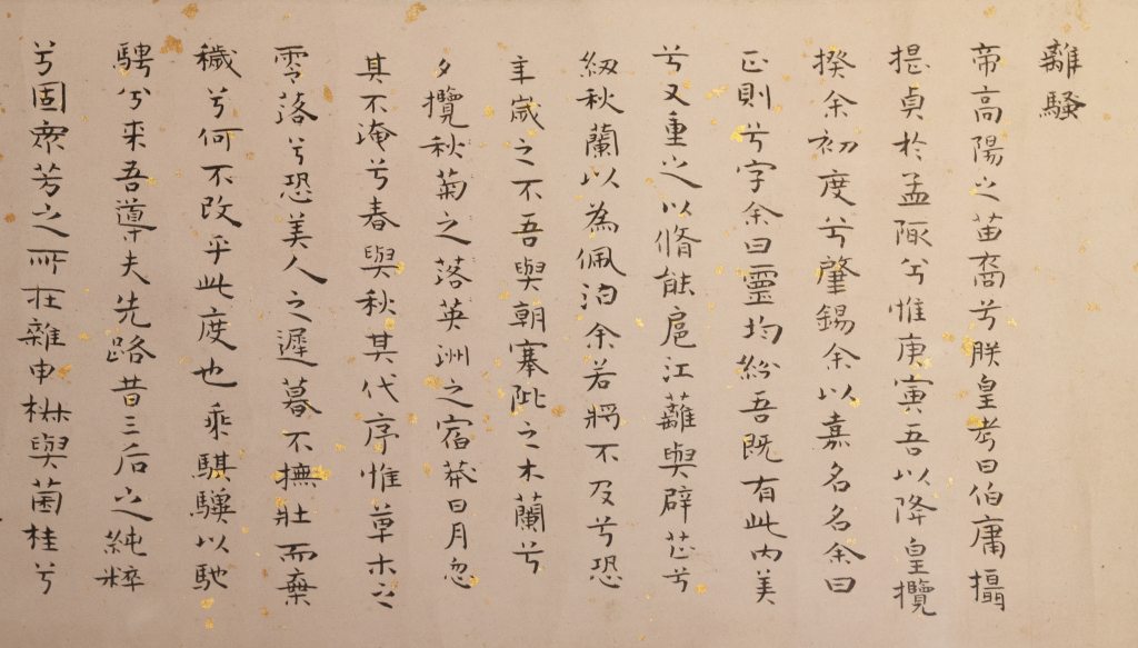 现场|梅花知己:一代才女张充和的诗书画曲