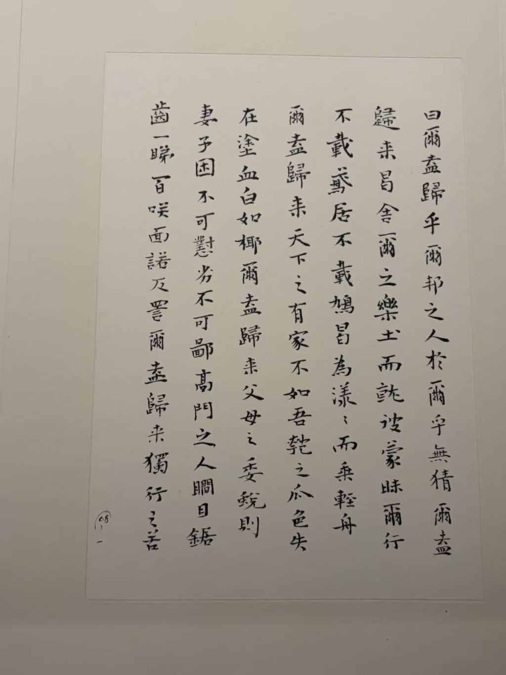 现场|梅花知己:一代才女张充和的诗书画曲