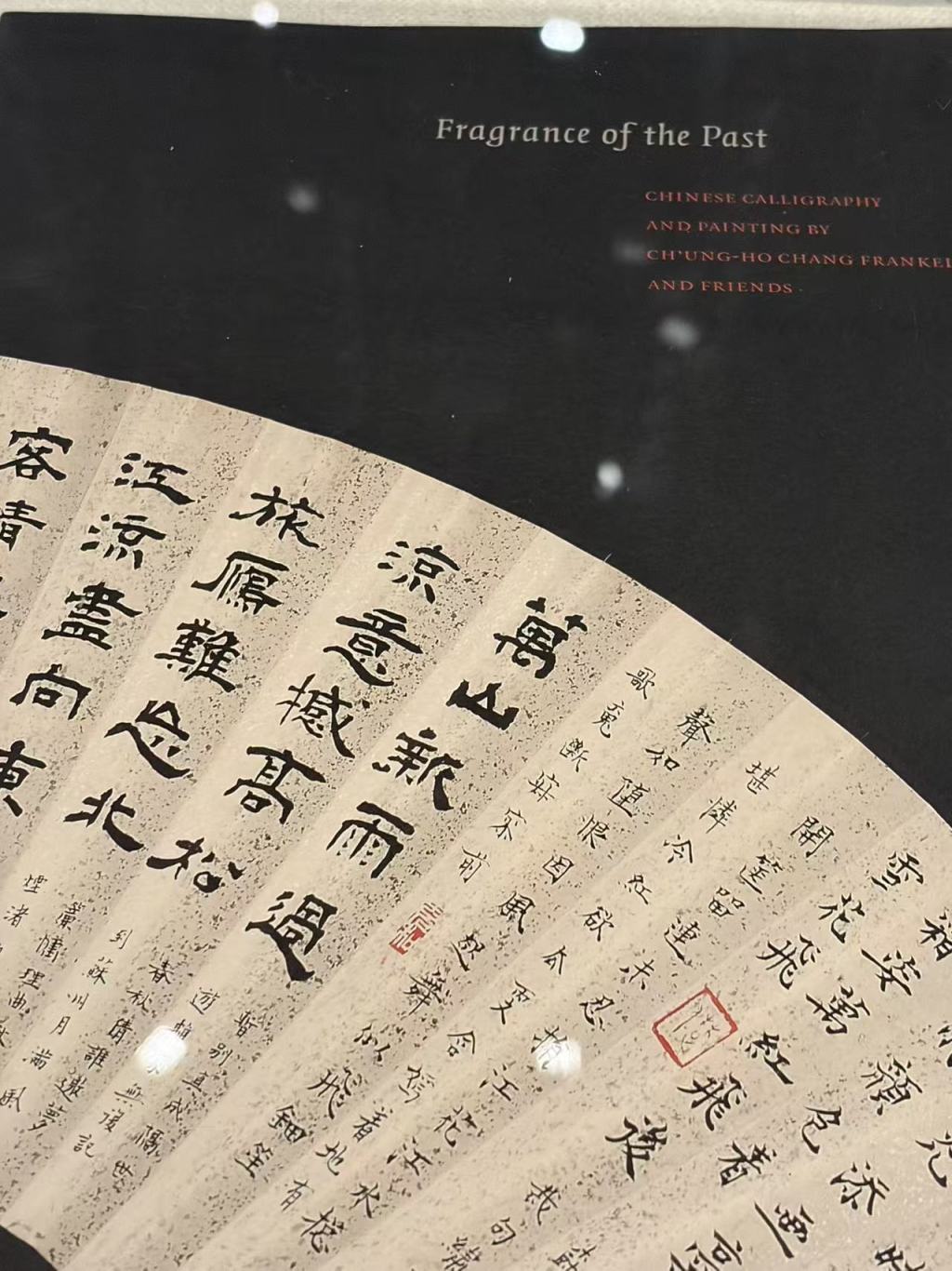 白谦慎谈张充和|一位从古而来的闺秀走入了现代