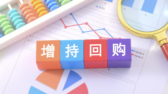 A股回购增持潮起：产业资本加速入场，稳市信号不断增强