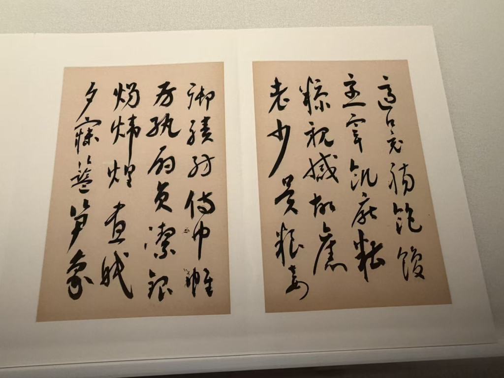 现场|梅花知己:一代才女张充和的诗书画曲