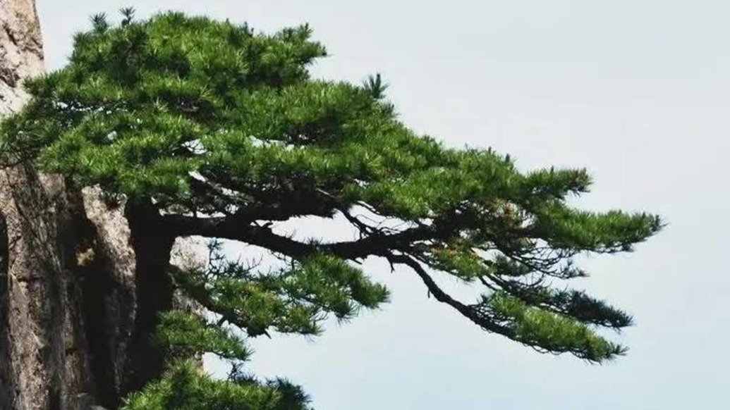 中国美术学院原党委书记王邦铎逝世,曾任杭州市副市长