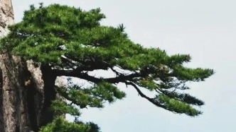 中国美术学院原党委书记王邦铎逝世，曾任杭州市副市长