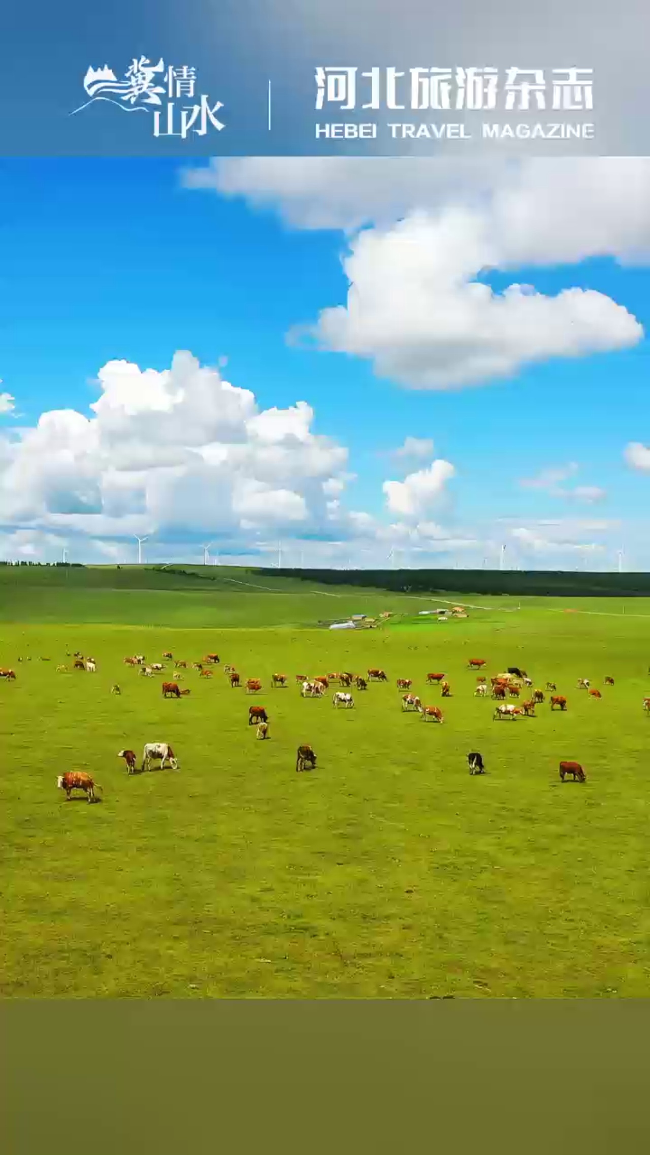"冀"情山水丨坝上草原:沙平草远望不尽